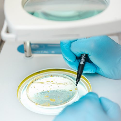 Biocontrol-Labtec-web-7721